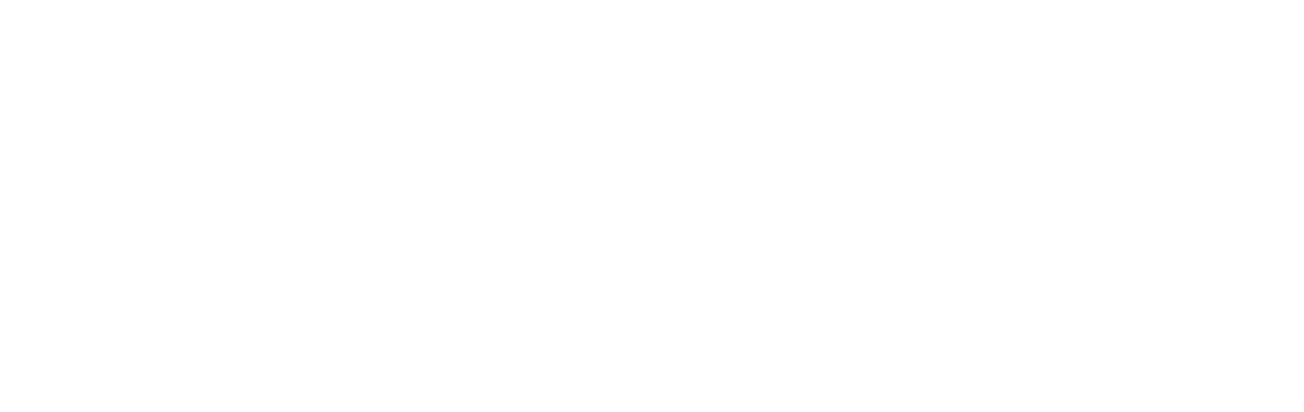 logo zenna interiorisme